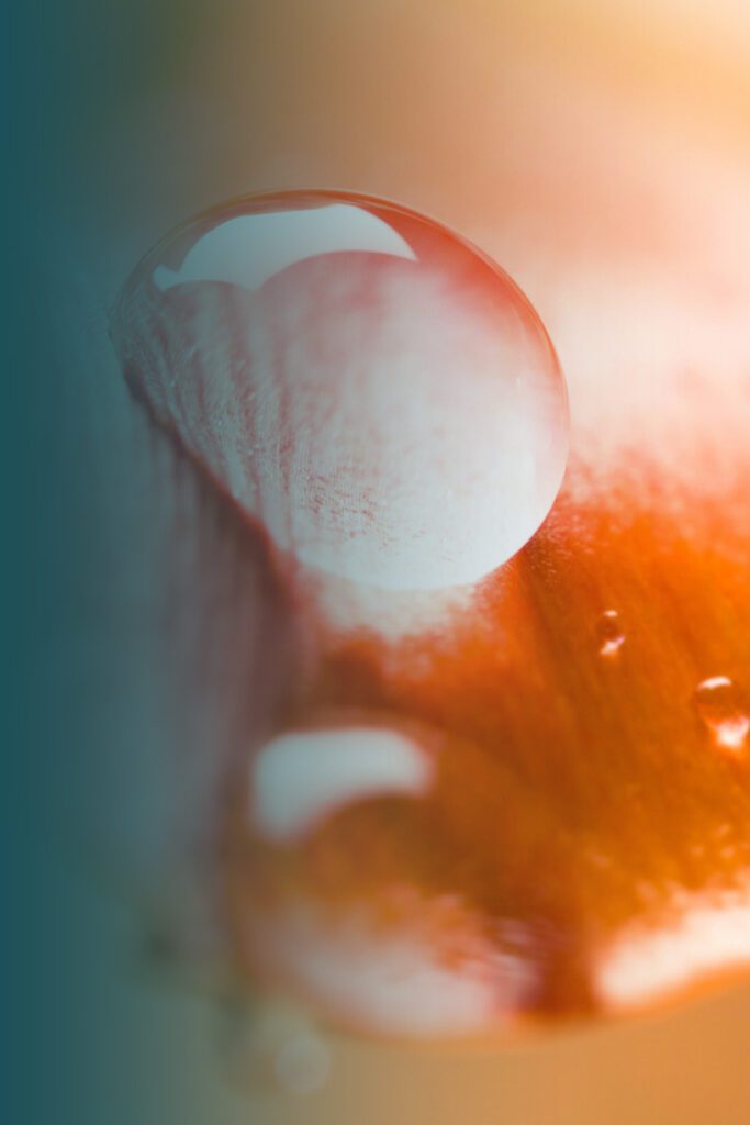 Drip Hydro Feed your fire. Drip Hydro