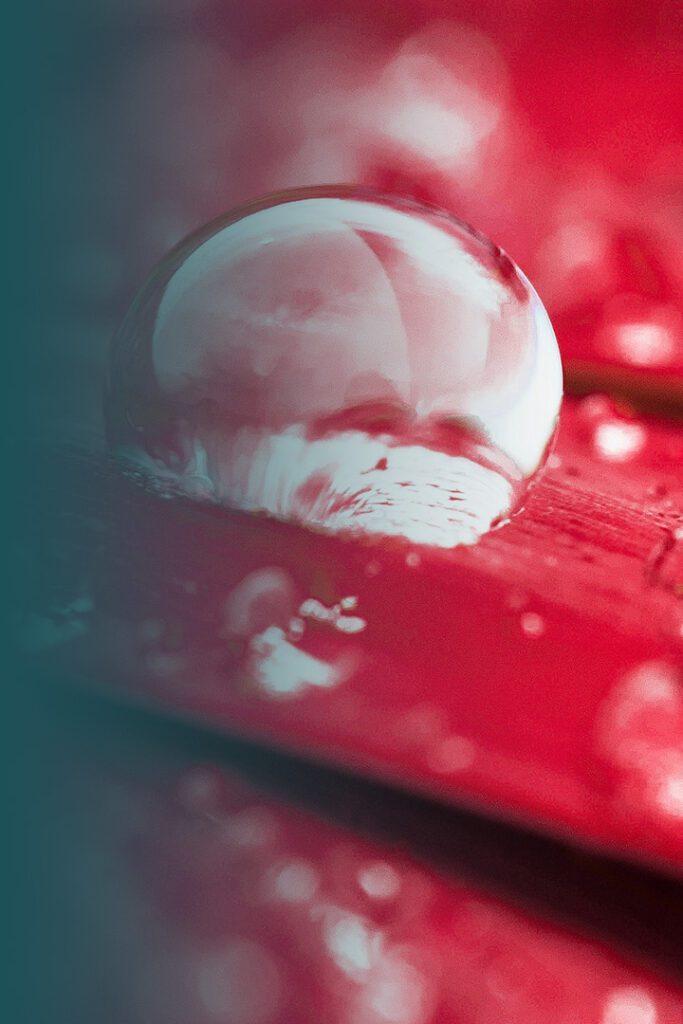 Drip Hydro Feed your fire. Drip Hydro