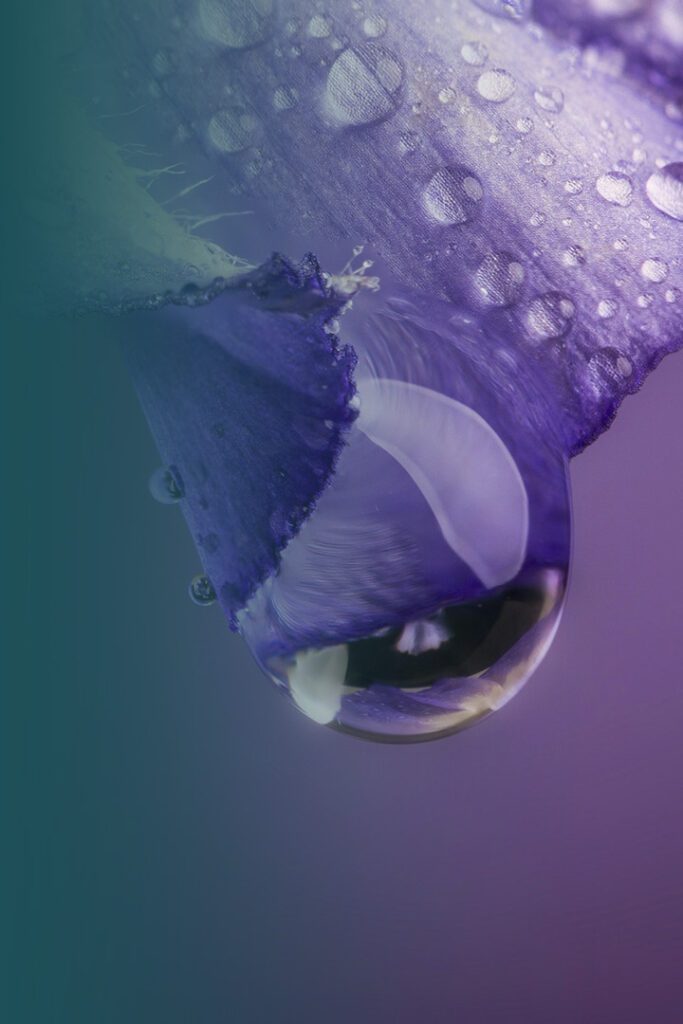 Drip Hydro Feed your fire. Drip Hydro