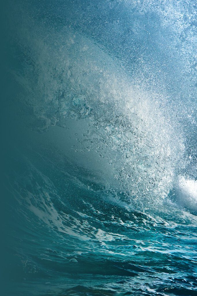 Drip Hydro Feed your fire. Drip Hydro