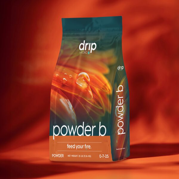 Powder B